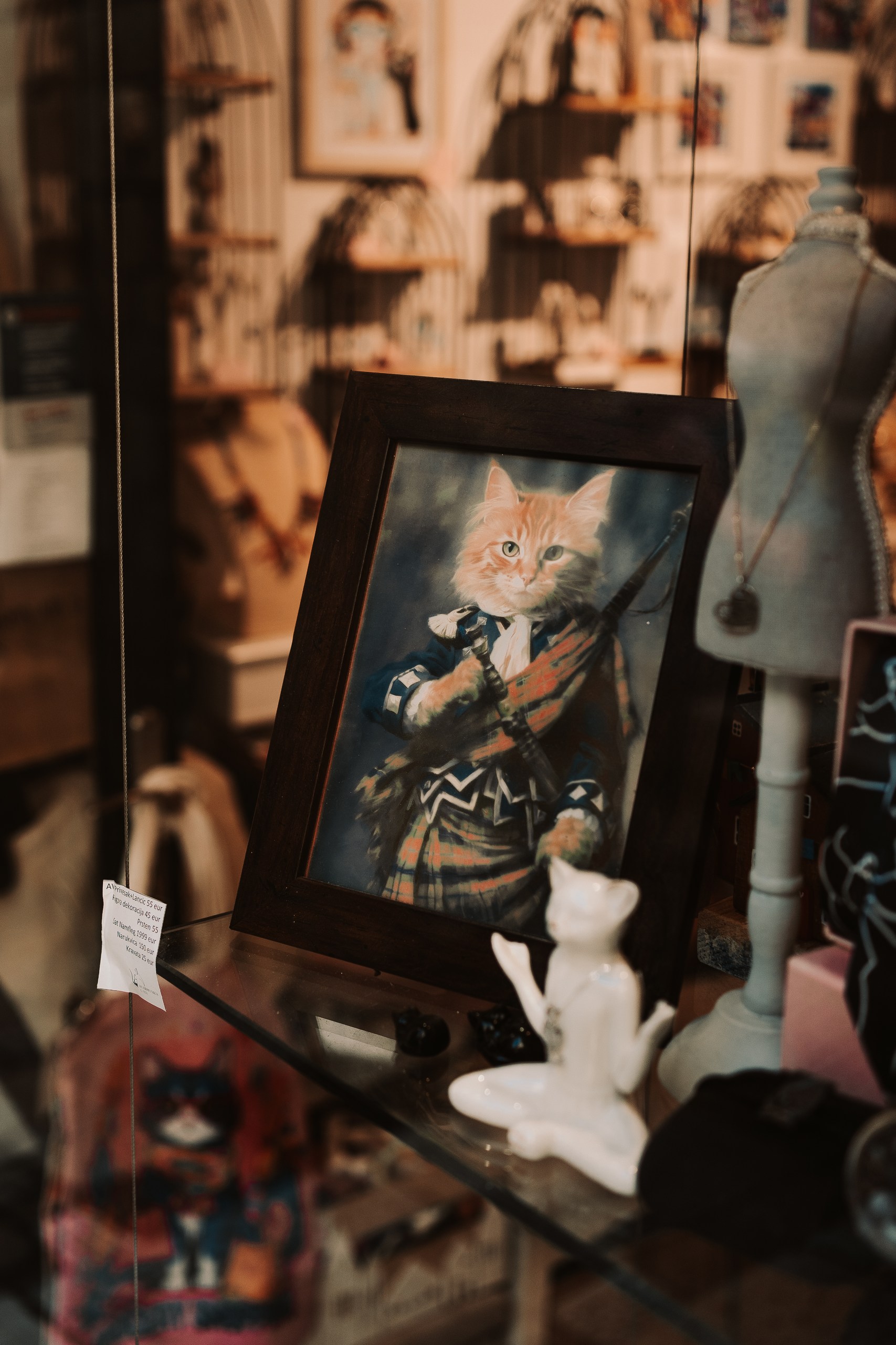 NestCats store 2