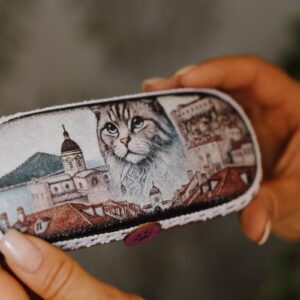 Glasses Case
