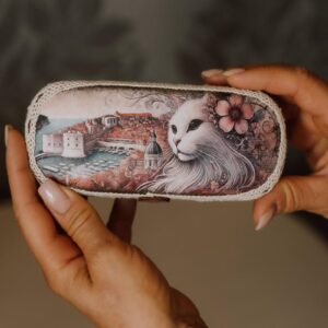 Glasses Case