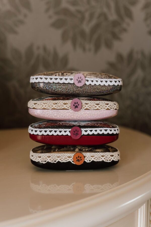 Glasses Case