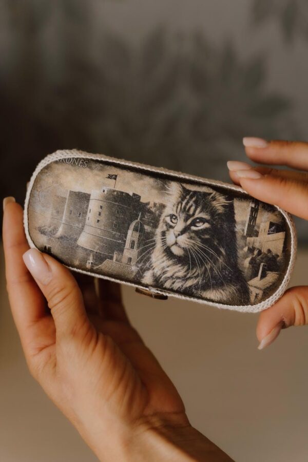 Glasses Case