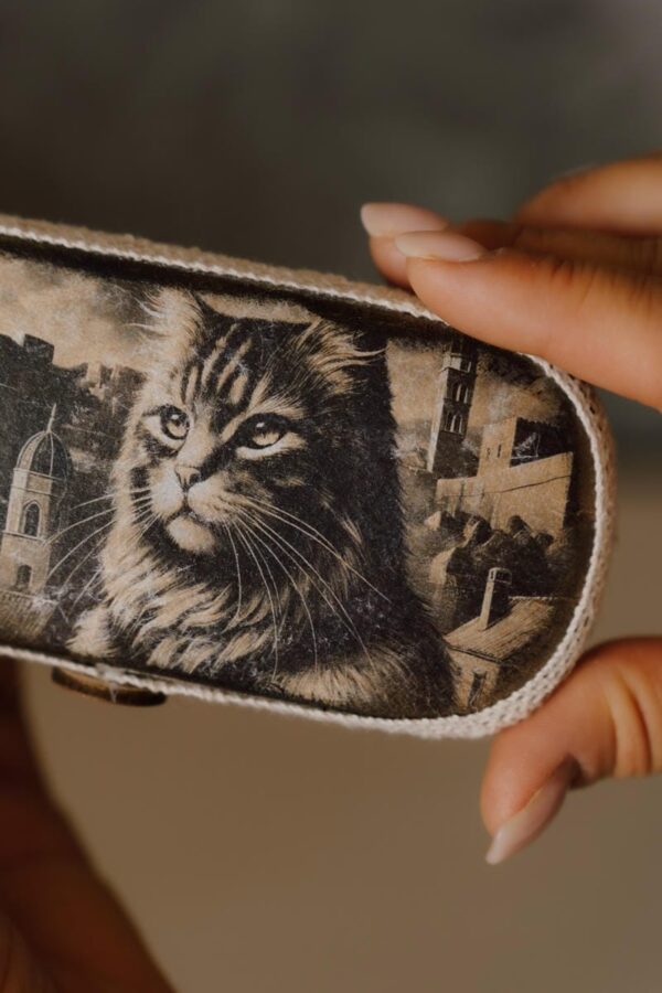 Glasses Case