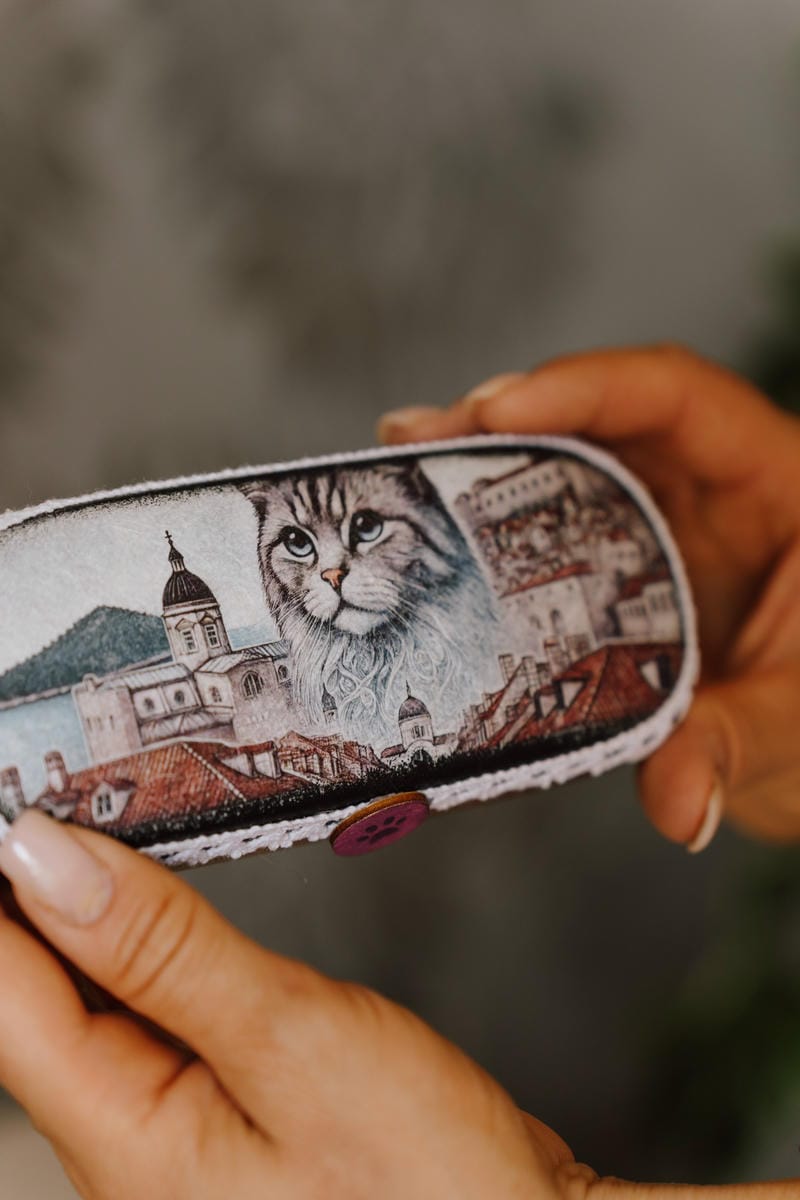 Glasses Case