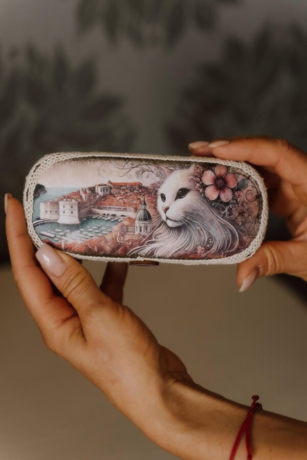 Glasses Case