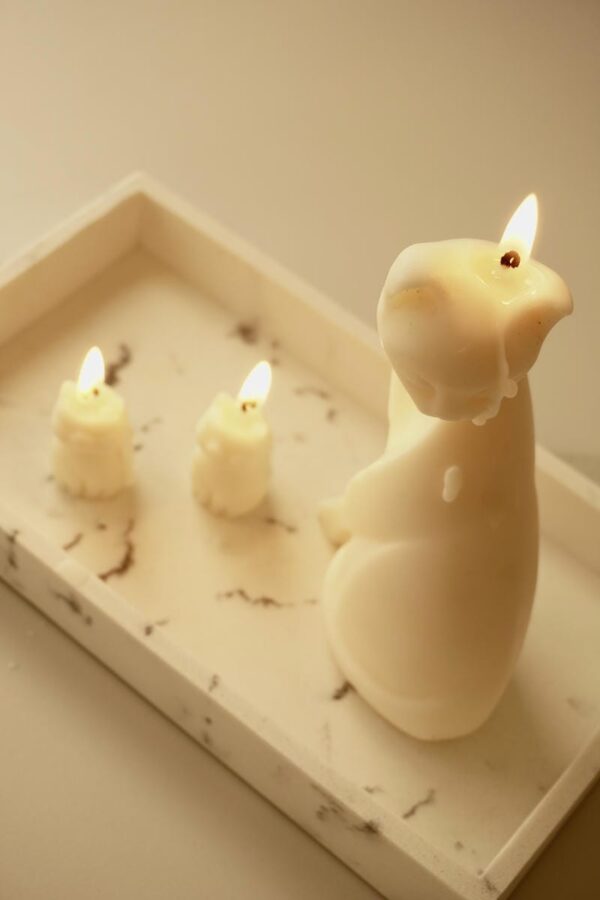 Handmade Candle