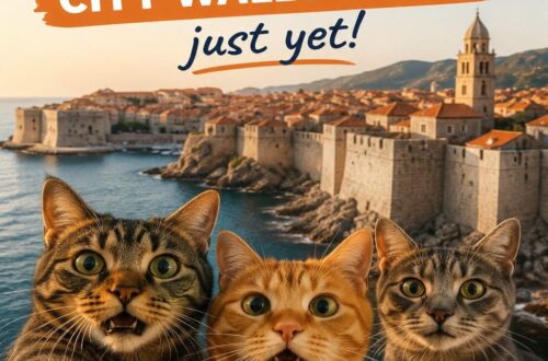 Visiting Dubrovnik? Don’t Buy Your City Walls Ticket Just Yet